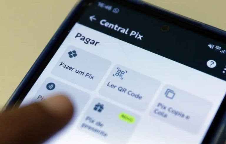 Pix não pode ser extinto por decisão unilateral de governo, diz economista | PortalGO | PortalGO